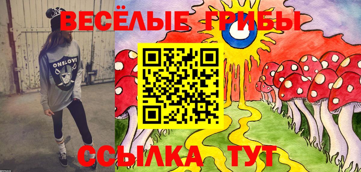 Норильск  Галлюциногенные грибы Psilocybe  Вход с VPN 