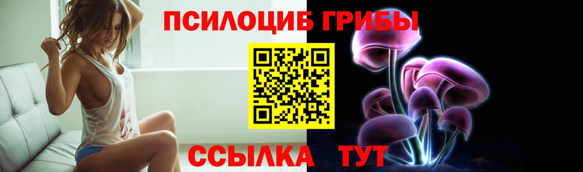 Галлюциногенные грибы Psilocybine cubensis Норильск